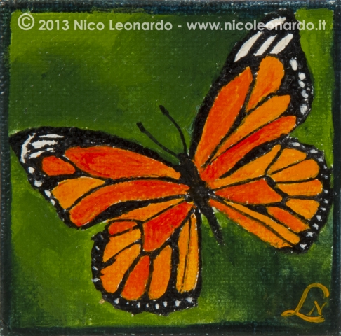 123_2013-10_m47 mini farfalla arancione 5x5