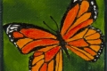 123_2013-10_m47 mini farfalla arancione 5x5
