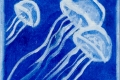 252_2014-03_m168 famigliola di meduse 5x5
